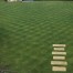 Chequered Garden Lawn Mow
